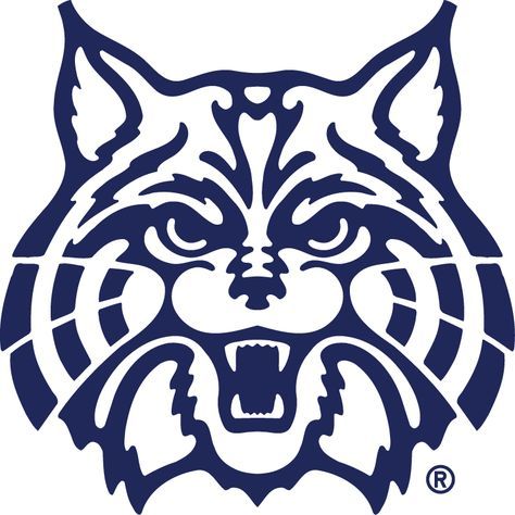 an image of a wolf head on a blue background with the word wildcats written in white