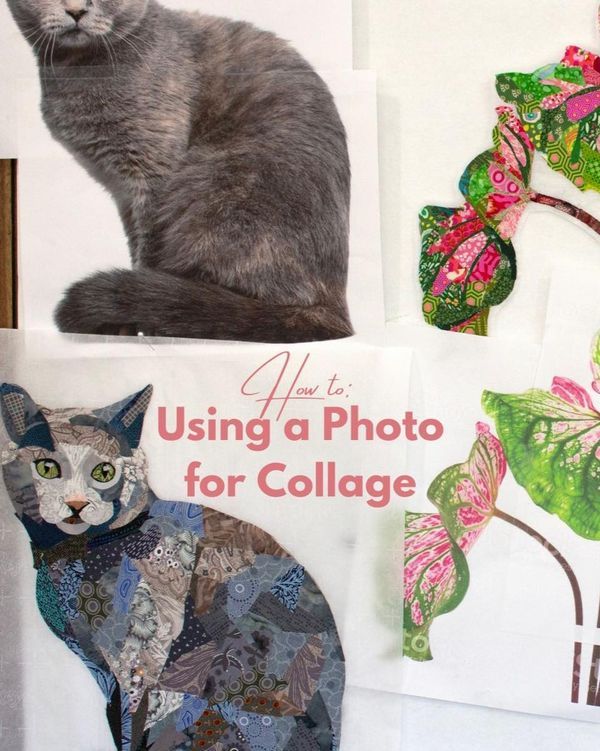 a gray cat sitting on top of a book cover next to other books and papers