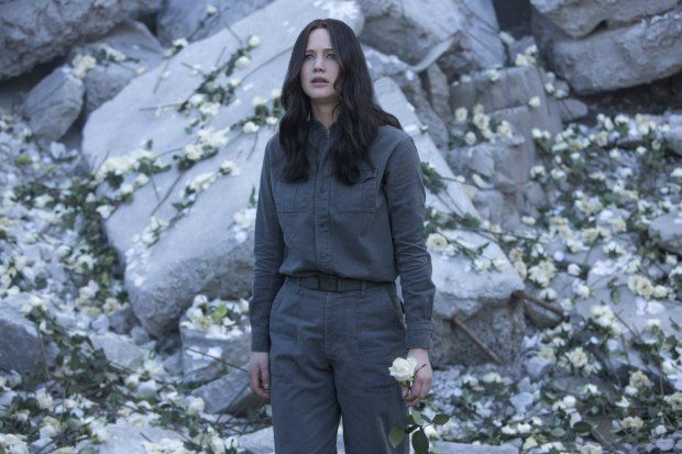 a woman standing in front of rocks and flowers