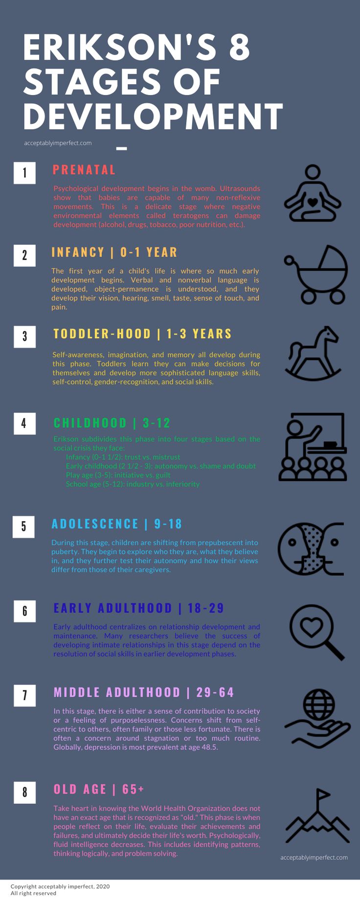 These five fascinating studies will give you insight into your child's psychological development (which starts in the womb!). Developmental Psychology Notes, Psychology Gcse, Gcse Psychology, Psychology Theory, Psych Notes, Psychology Revision, Child Development Psychology, Age Reg, Child Development Stages