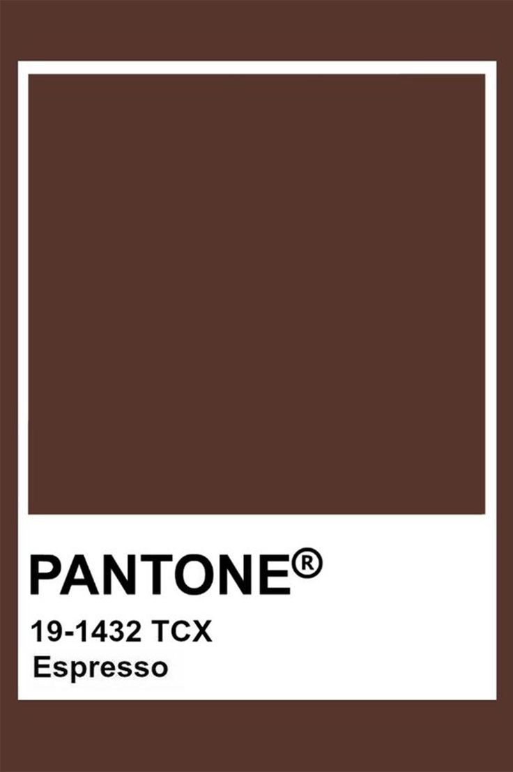 the pantone color is brown and has a white rectangle on top of it