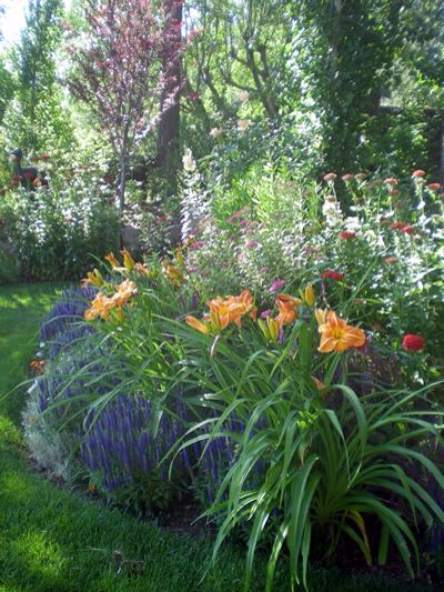 the garden is full of colorful flowers and plants