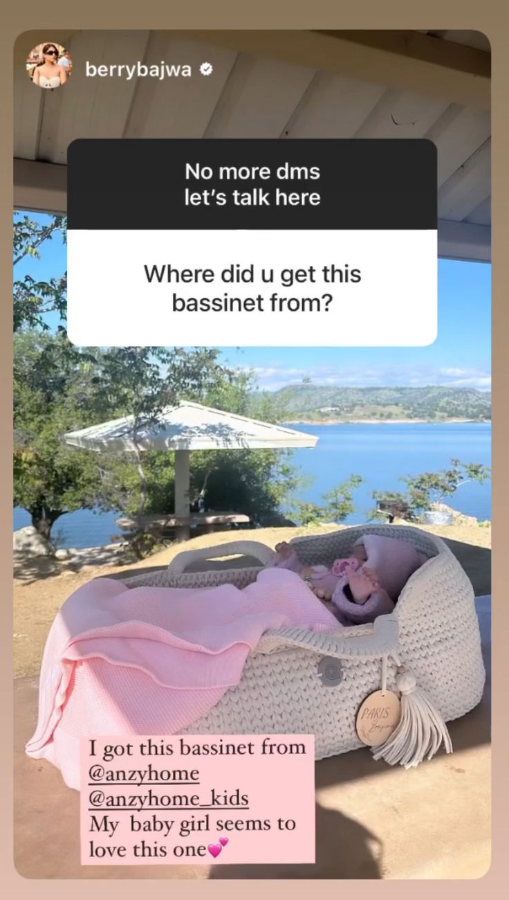 a pink crochet baby bassinet on a porch with the words, no more dms let's talk here where did u get this bassinet from?