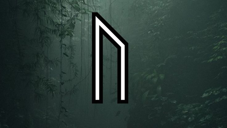 a black and white photo with the letter n in it's center surrounded by greenery