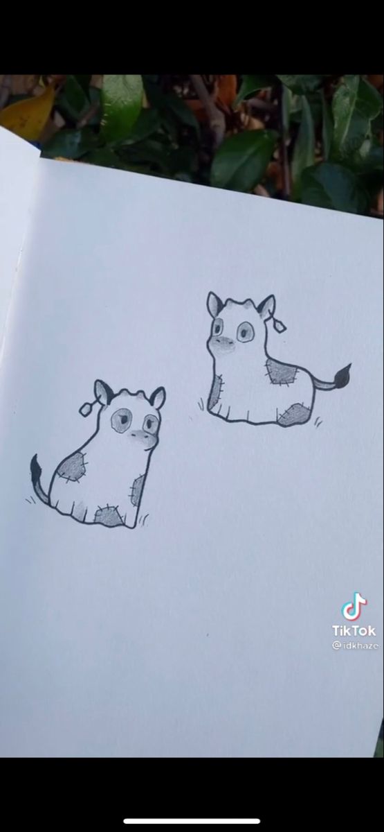 an open book with two drawings of animals on it's pages and one drawing of a cow