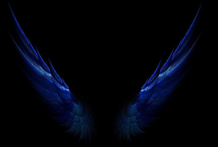 two blue wings are shown against a black background in this artistic photo taken with the iphone