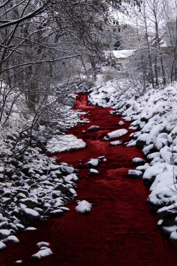 a red stream running through a forest covered in snow