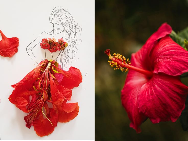 two pictures one with a red flower and the other with a drawing of a woman