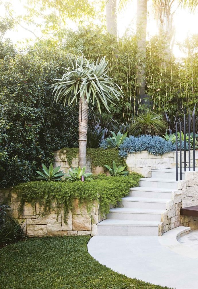 an outdoor garden with stone steps and palm trees