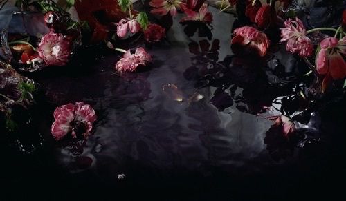 flowers are reflected in the water on a black surface