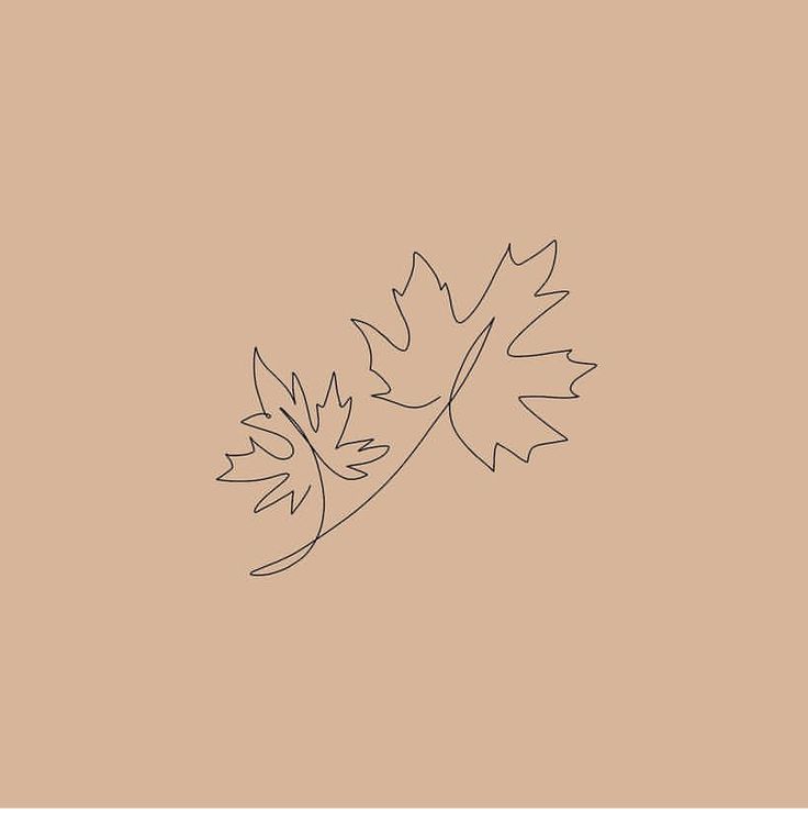 the outline of a leaf on a beige background