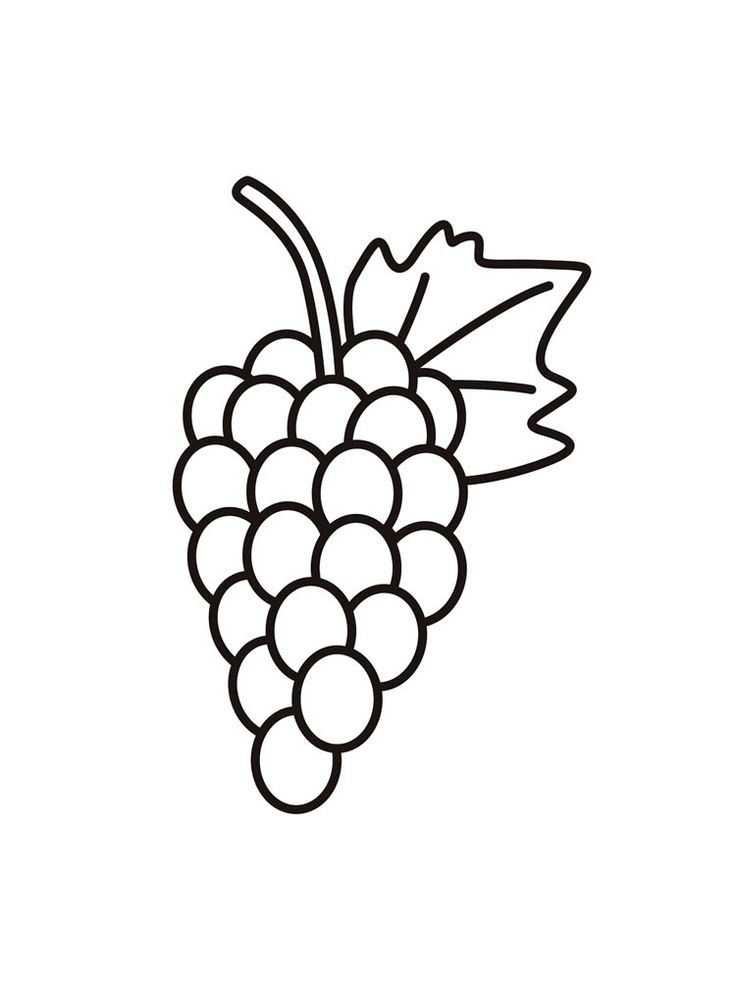 Grape coloring pages. Download and print Grape coloring pages. Grapes Clipart Black And White, Grapes Coloring Page, Grapes Clipart, Grapes Drawing, Grape Drawing, Black Hd Wallpaper, Black Hd, Kindergarten Coloring Pages, Skull Coloring Pages