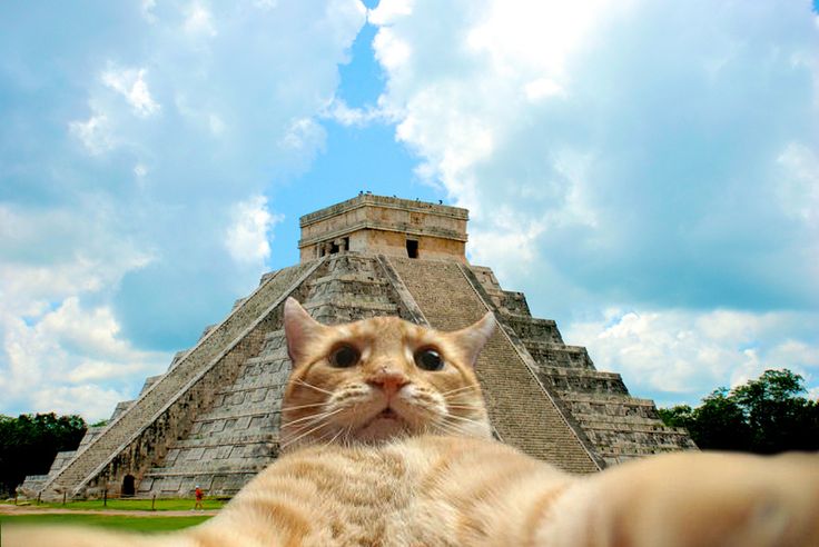 a cat is sitting in front of an ancient pyramid with its eyes wide open and it's paw up to the camera