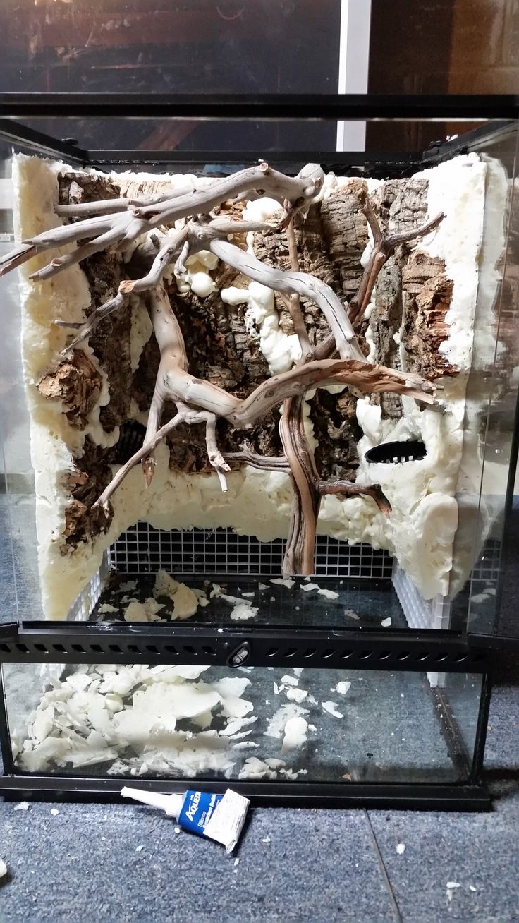 a piece of cake with white frosting and branches on top in a glass case