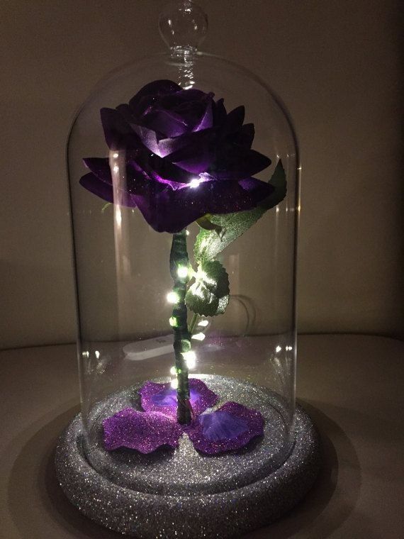 a purple rose is in a glass dome with some lights on the base and rocks underneath it