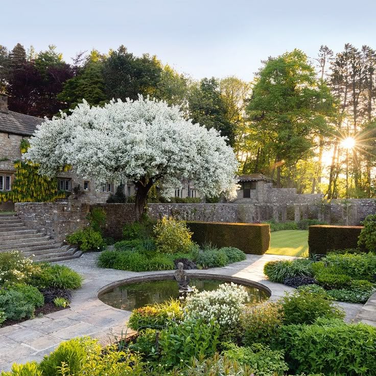 the garden is full of flowers and trees