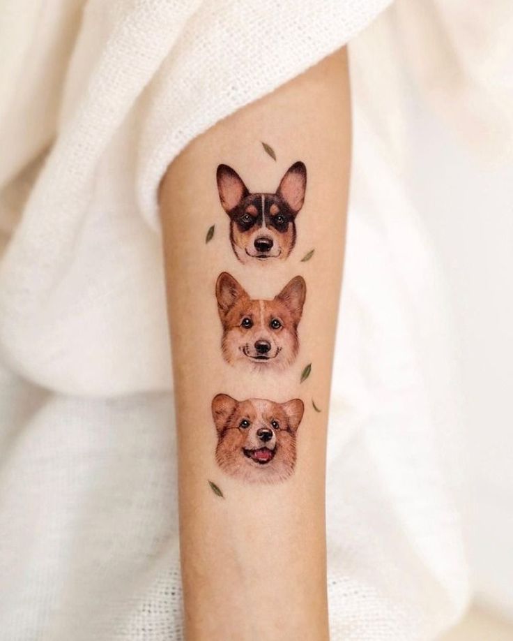 three dogs on the arm with leaves around them