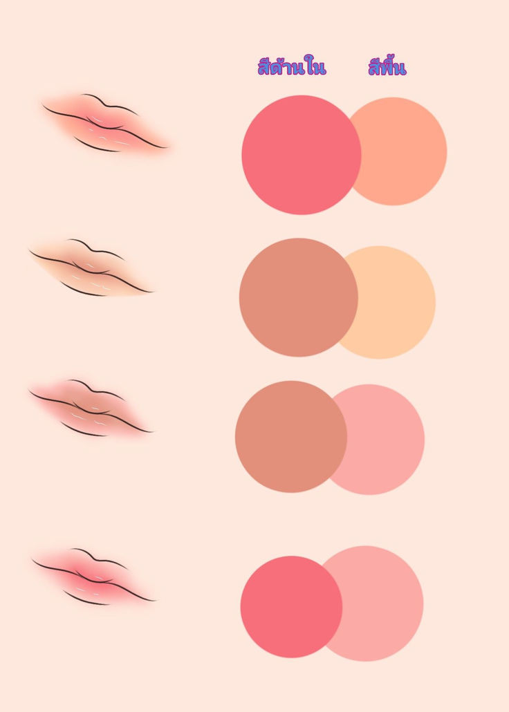 the different shades of lipstick are shown in this graphic style, including pinks and oranges