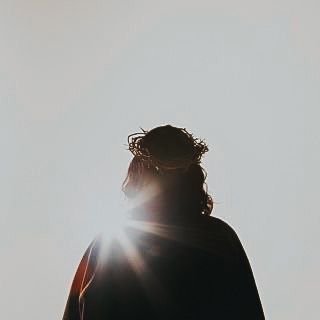 a person standing in the sun with their back turned to the camera and his hair pulled back