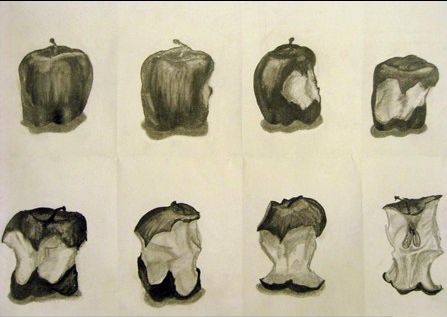 six drawings of different fruits and vegetables