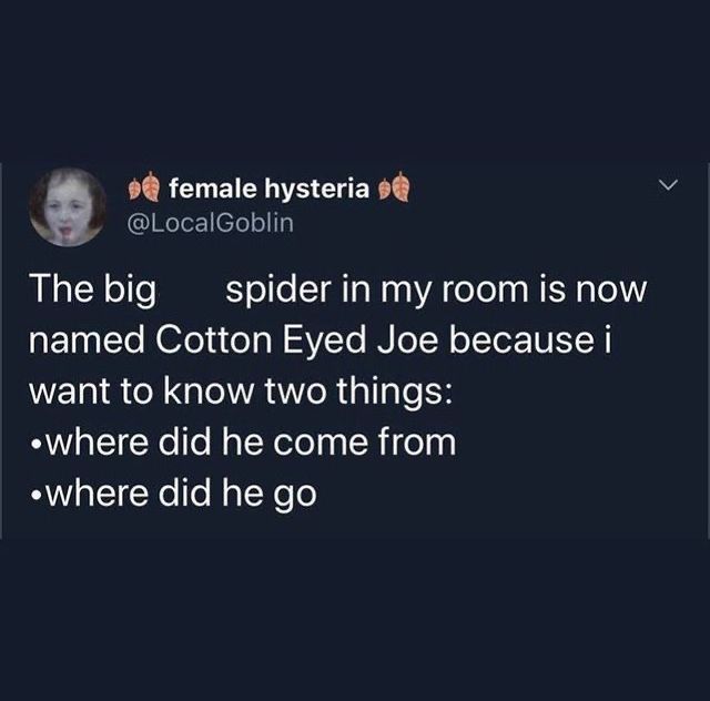 a tweet that reads, the big spider in my room is now named cotton eyed joe because i want to know two things where did he come from