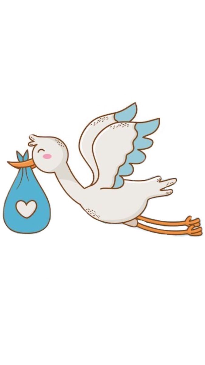 a stork carrying a baby in a blue bag with a heart on it