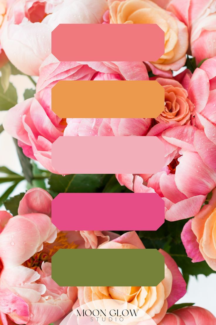 Pink Orange Pastel Bright Peonies Flowers Color Inspiration Palette Pink Orange Wedding Colors, Spring Bright Color Palette, Bright Wedding Colour Schemes, Bridal Shower Colors Palette, Sage Orange Fuchsia Wedding, Pink And Green Wedding Color Palette, Hot Pink And Orange Wedding Theme, Bright Colored Bridal Shower Ideas, Spring Pink Color Palette