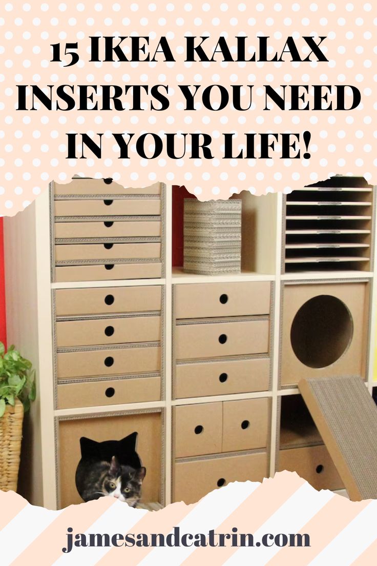 a black and white cat sitting on top of a dresser next to a book shelf