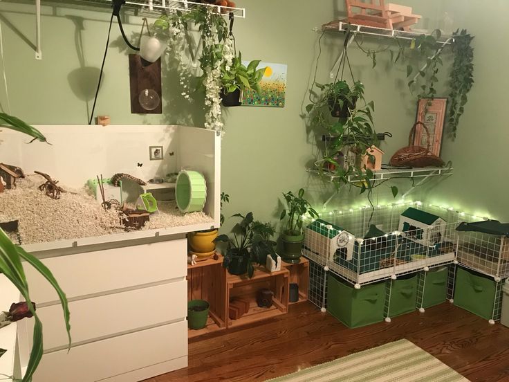 a room filled with lots of green plants and other things on the wall next to it