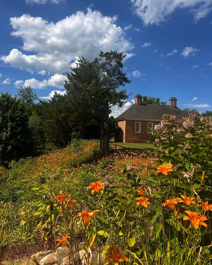 the house is surrounded by wildflowers and other greenery on a sunny day