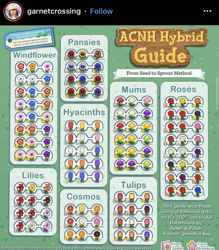 the acn hybrid guide is shown in this screenshot from an iphone game,