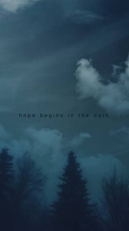 the words hope begins in the dark are shown on a night sky with trees and clouds