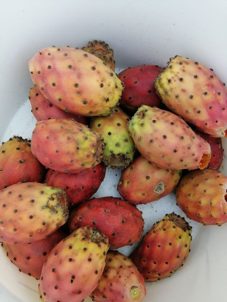 a white bowl filled with lots of fruit