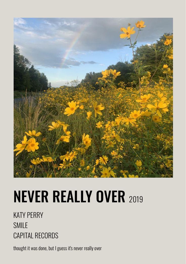 yellow flowers in the foreground and a rainbow in the background with text that reads never really over