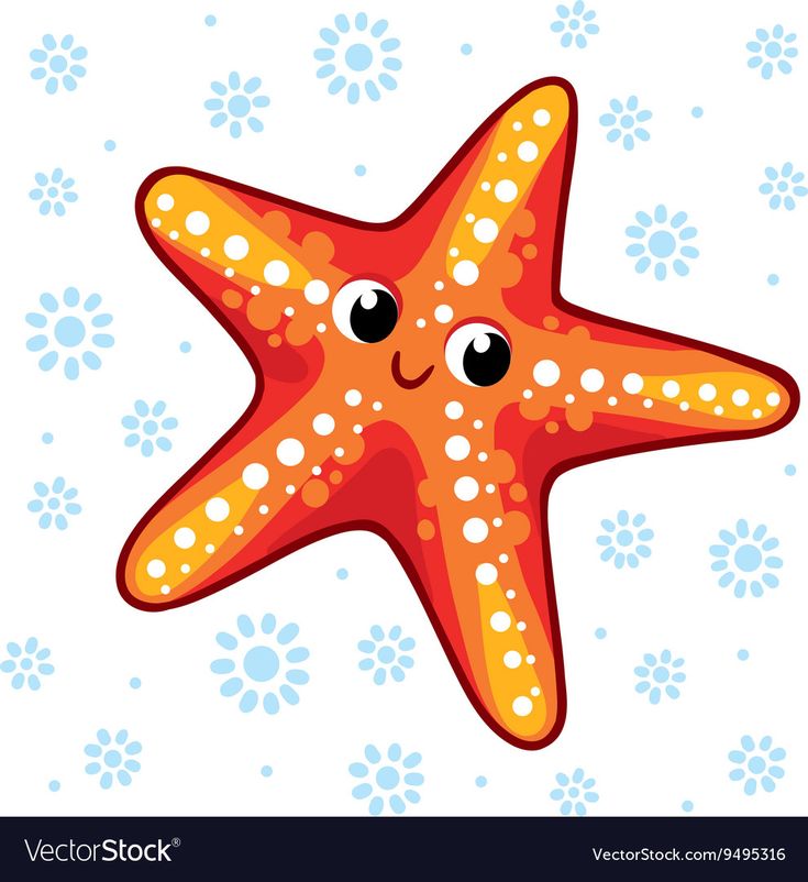 an orange starfish with black eyes