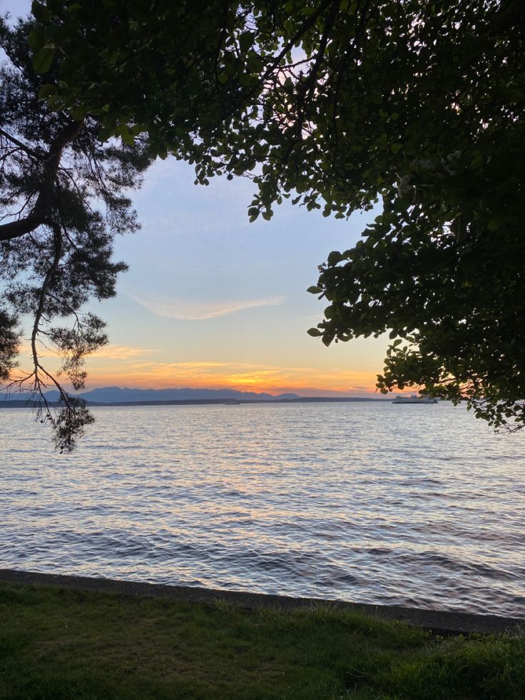 the sun is setting over the water and trees