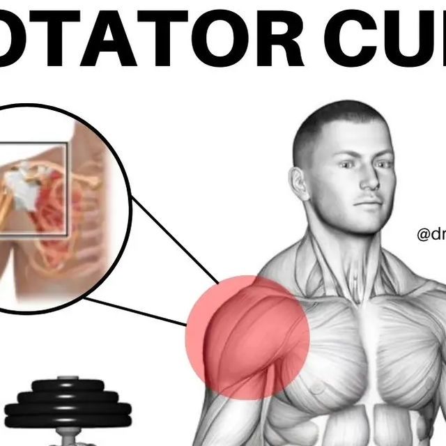 an image of a man's back and shoulder with the caption rotator cuff