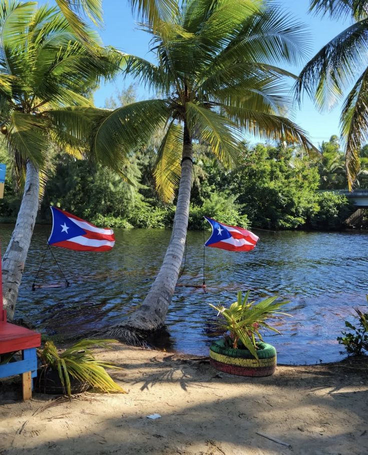 two red chairs sitting on top of a sandy beach next to palm trees and water