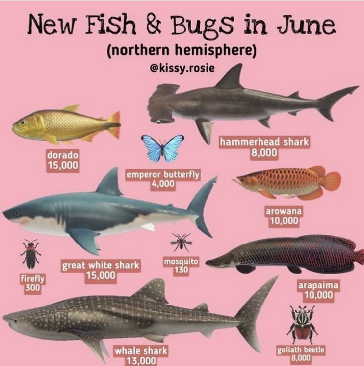 a poster with different types of fish and bugs in the world, including one that looks like