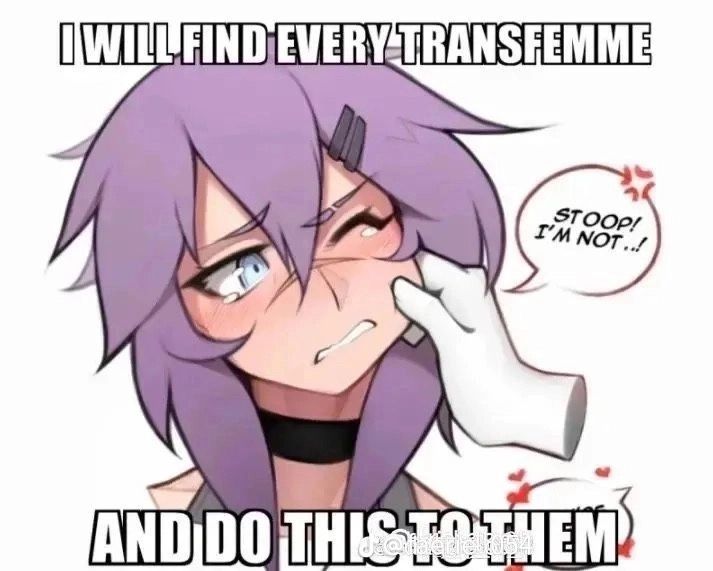 an anime character with purple hair and text that reads, i will find every transseme and do this to them