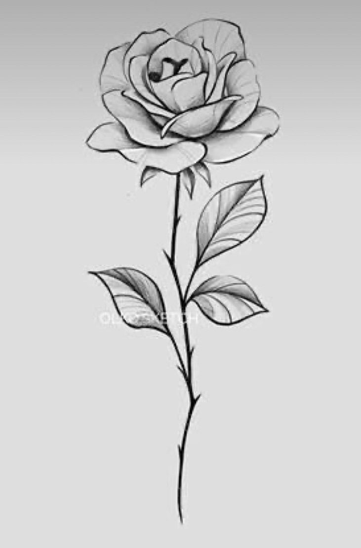 a black and white drawing of a rose