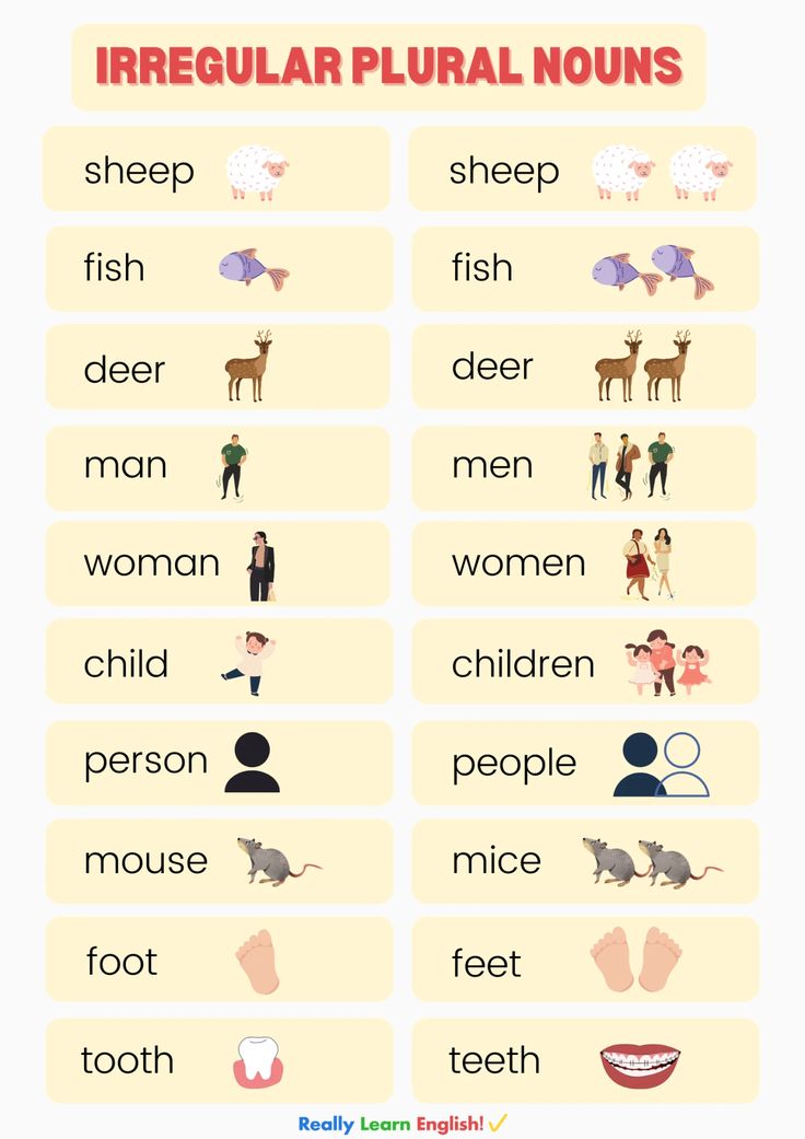 an info sheet with different types of animals and people in english speaking it's easy to