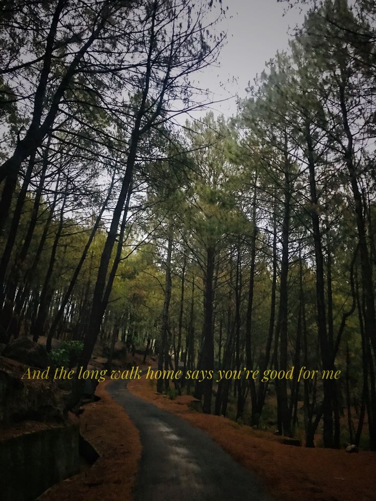 a road in the middle of some trees with a quote on it that says, and the long time home knows you're good fortune