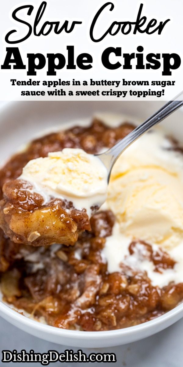 a close up of a bowl of food with ice cream on top and the words slow cooker apple crisp above it