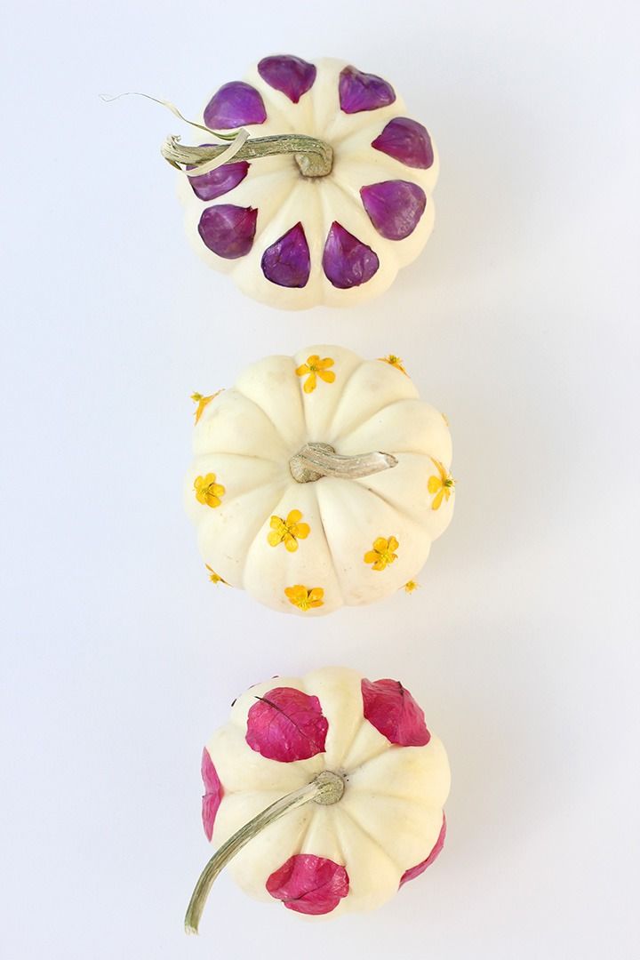 three white pumpkins with purple and yellow flowers on them, one is cut in half