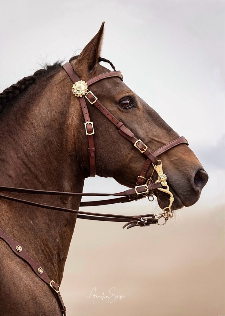 a brown horse wearing a bridle with braids on it's head