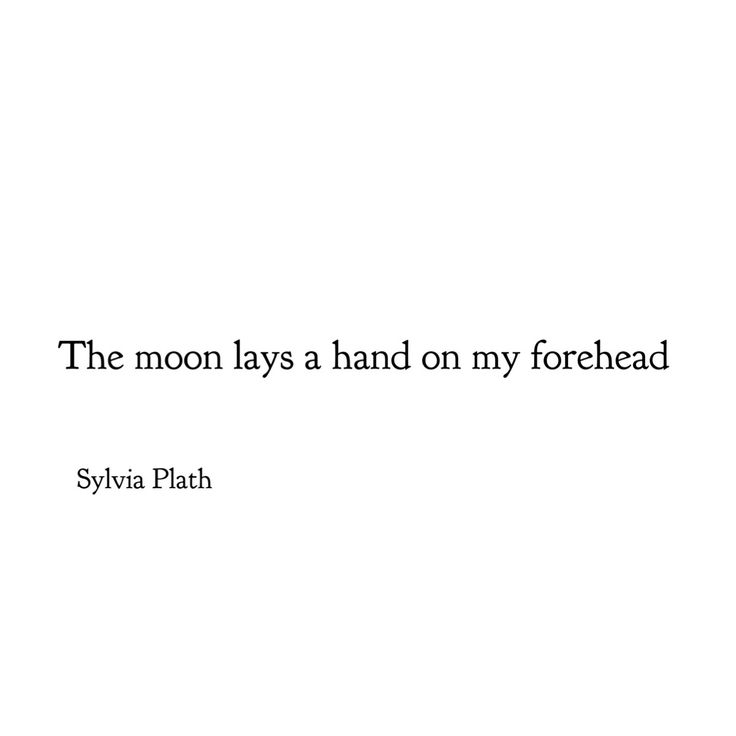 the moon lays a hand on my forehead by sylyria plahh text reads,'the moon lays a hand on my forehead '