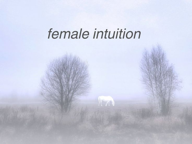 female intuition with horse in mist in the background Just Girly Things Funny, Just Girly Things Aesthetic, Just Girly Things Tumblr, Female Hysteria, Funny Girly, Girl Memes, Michael Scott, Im Going Crazy, Silly Me