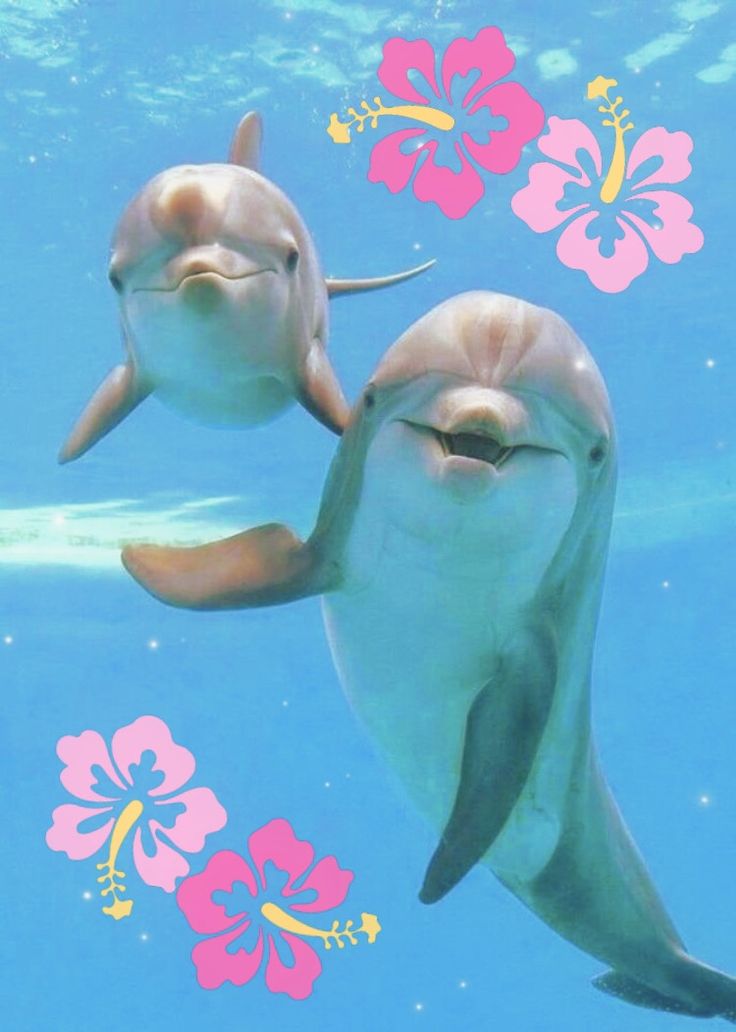 two dolphins swimming in the water with flowers and hibises on it's back