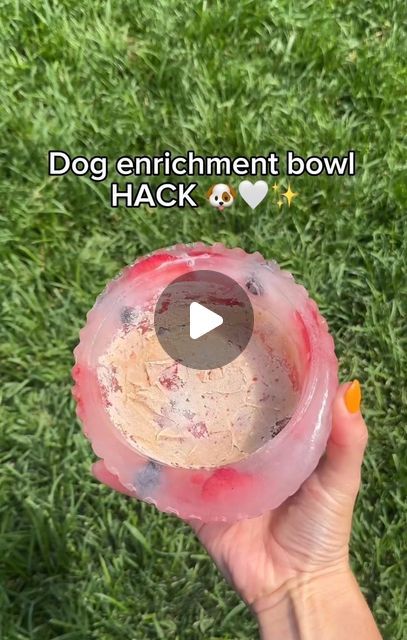 someone is holding up a plastic bowl with food in it on the grass that says dog enrichment bowl hack